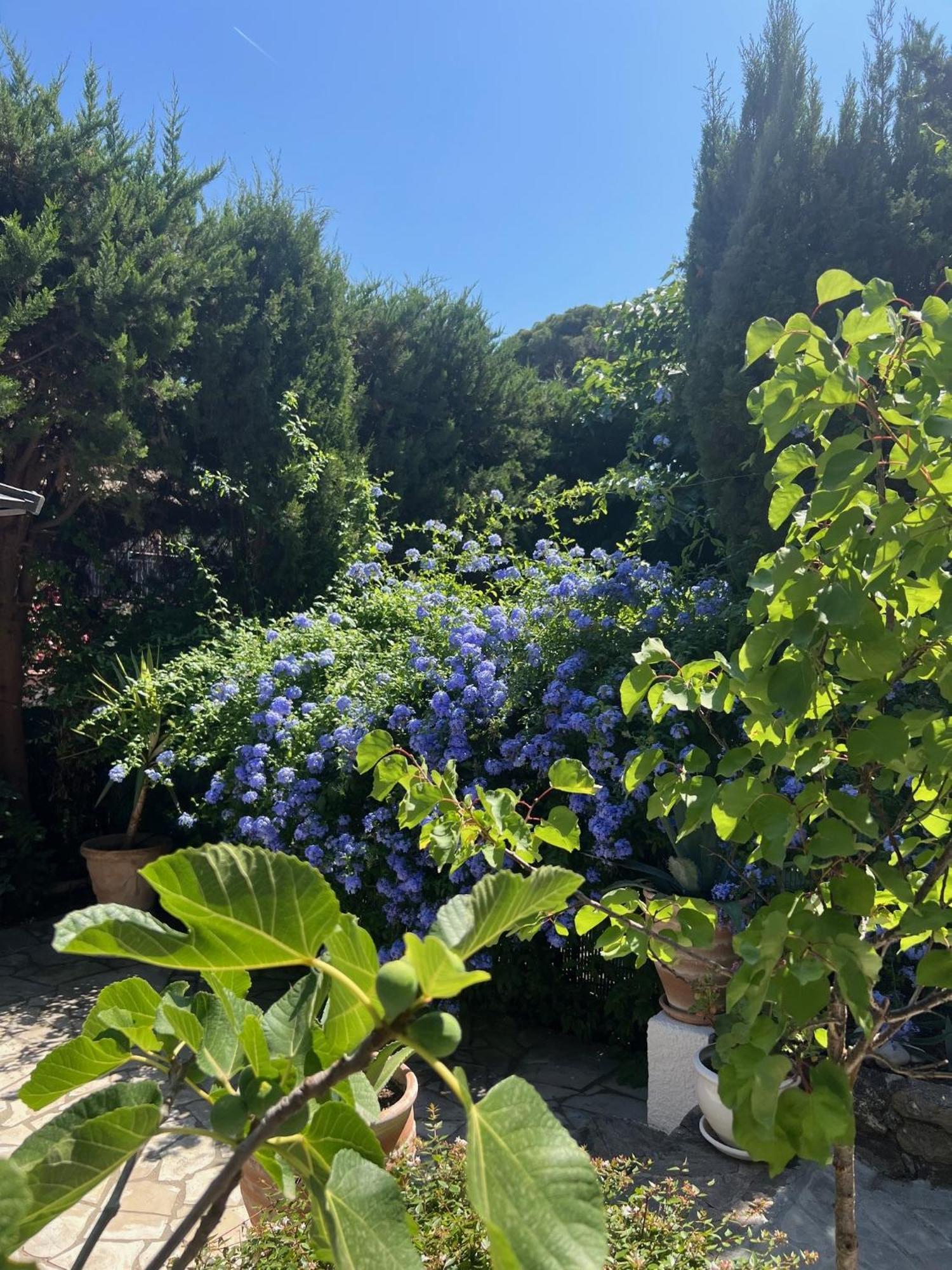 Superbe Appartement Avec Terrasse Jardin Et Parking Prive Saint-Tropez Exterior photo
